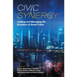 Civic Synergy
