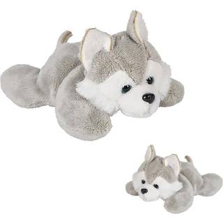 The Dreidel Company Plys Wolf Mighty Mights 3,5"""" Plys udstoppet superbldt og nuttet dyrelegetj Klassevrelsesdekorationer Drenge og piger (Ulv