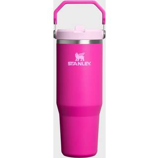 Stanley The IceFlow Flip Straw 2.0 0.89L / 30oz - Uni - violet blossom