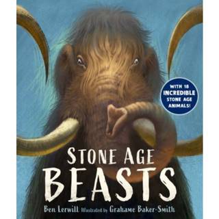 Stone Age Beasts