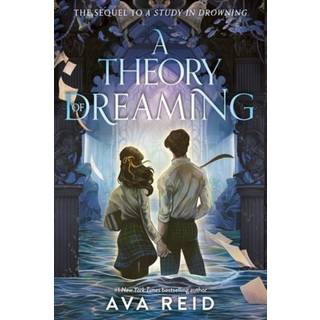 A Theory of Dreaming