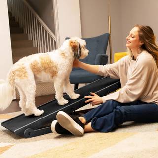 Meulbaty S-SK hunderampe til sm hunde Skridsikker trrampe til kledyr med justerbar hjde (13""""-20"""") Understtter op til 200 lbs sort