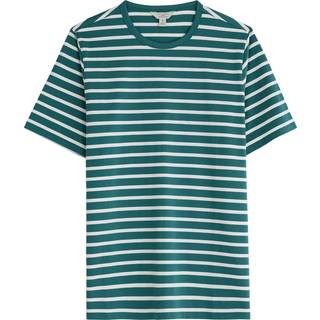 Seasalt Cornwall Seasalt Cornwall Green Seven Seas Sailor T-Shirt in Cotton