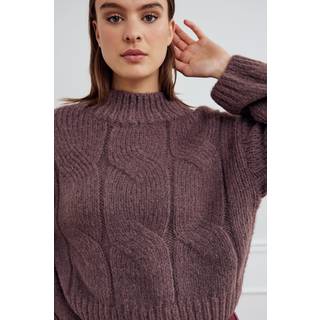 Noella Strik - Lynx - Morel