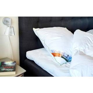 DREAM ENERGY PUDE 60X63 Gåseduns pude
