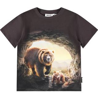 Molo Riley T-shirts Cave Bears  Cave Bears 116 cm  Brun  116 cm  mand