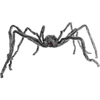 Grau-Schwarz Melierte Riesenspinne 228cm