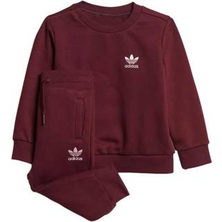 Adicolor crew-sæt - Maroon / Clear Pink - 74