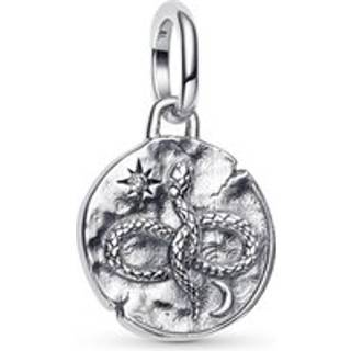 Pandora Charm - 793976C01 - silber