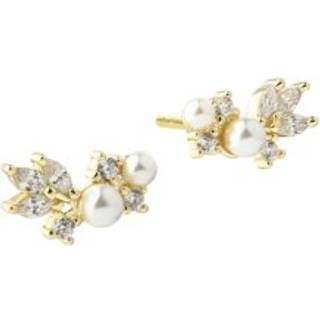 Aqua Dulce - Lumi Pearl Earstud i forgyldt sterlingsølv