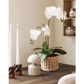 Aulla Bordlampe i metal og plastik.