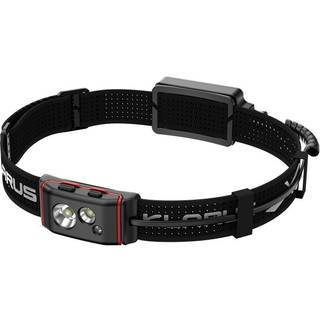 Klarus HM5 - 800 Lumens - Pandelampe fra Klarus