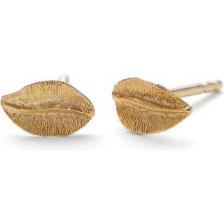 Pernille Corydon Elm Leaf øreringe E-329-GP