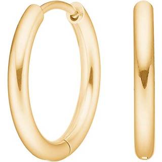 Pure Titanium Nikkelfri hoops i forgyldt titanium - 12 mm
