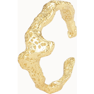 Fani Ear Cuff - Forgyldt