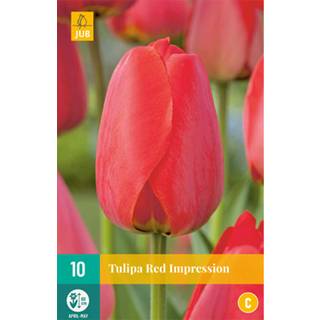 Tulipan 'Red Impression'