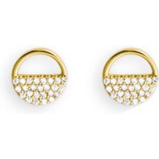 Palido Ohrstecker - C313-031/G - gold