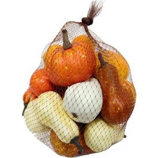 Mehrfarbiges Zierkürbis Deko 20er-Set 7x6,5cm
