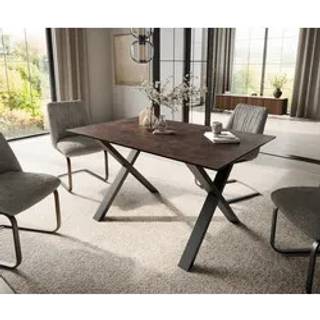 Esstisch Edge 140x90 Glas Antique-braun X-Gestell Metall Schwarz - Braun