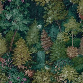 Albany Wallpaper Midnight Woods 14151