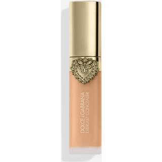 Dolce & Gabbana Everlast Concealer 24H Wear Crease-Proof Hydrating 14 Light Medium
