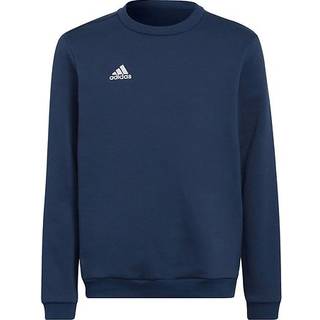 adidas adidas Entrada 22 Sweatshirt