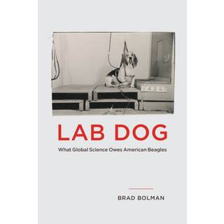 Lab Dog