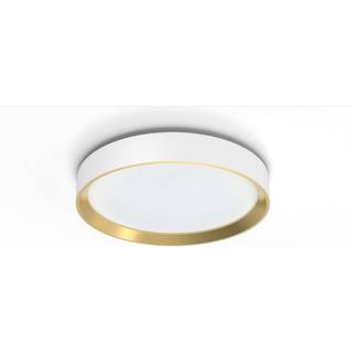 Hanno ceiling SS RD 24W 27K W_G