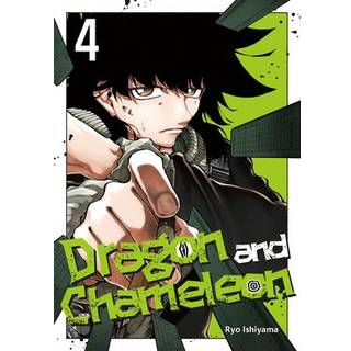 Dragon and Chameleon 04