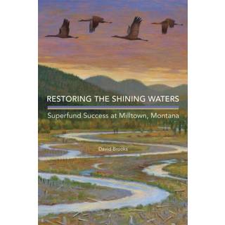 Restoring the Shining Waters