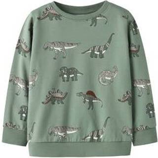 NAME IT Sweatshirt Nenean Green Bay