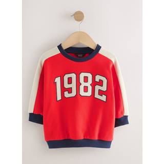 Next All-Over Tryk Rund hals Sweatshirt (3mdr.-7år)