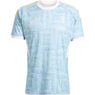 Juventus 25/26 udebanetrøje - Ash Blue - L