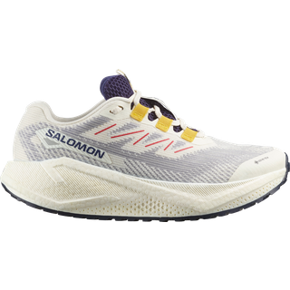 Salomon aero blaze 3 grvl gore-tex løbesko dame