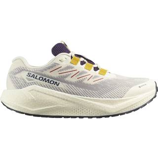 Løbesko Salomon AERO BLAZE 3 GRVL GTX l47953200 Størrelse 42,7 EU | 8,5 UK | 9 US | 26,5 CM