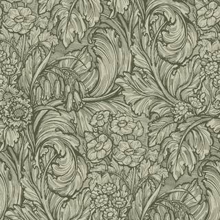 Hedgerovia - LB25136