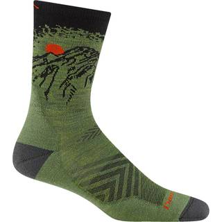 Darn Tough Men's Vert Micro Crew Ultra-Lightweight With Cushion Lichen, M
