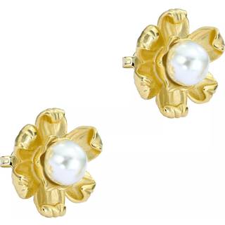 Ted Baker Gold Dara Daisy Pearl Studs - Gold