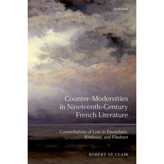 Counter-Modernities in Nineteenth-Century French Literature