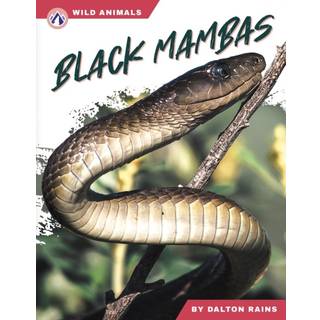 Black Mambas