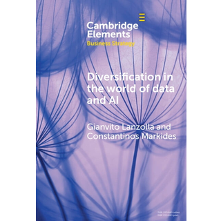 Diversification in the World of Data and AI