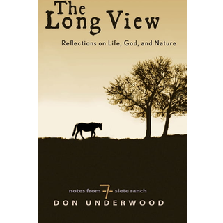 Long View, The