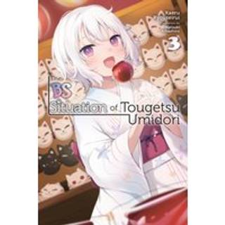 The BS Situation of Tougetsu Umidori, Vol. 3 (light novel)