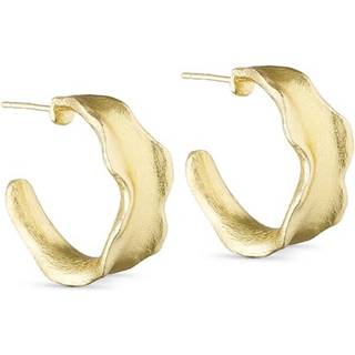 Brede Creoler, Gold Plated