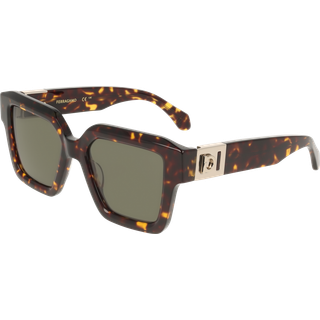 Ferragamo Kvinde SF2084S 242 Solbriller Acetat Havana Firkantet Normal