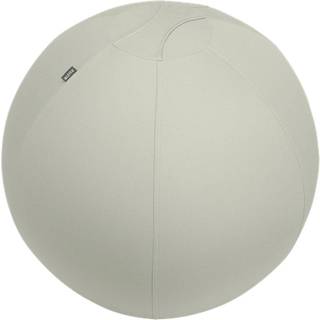 Leitz Ergo Active balancebold med stopperfunktion 65 cm Grå