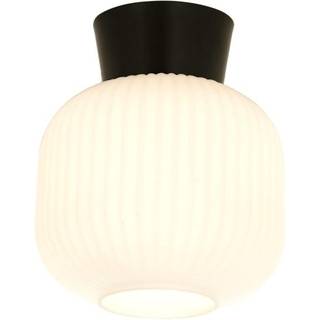 Aneta Lighting - Vanja Ø20 - Plafonder