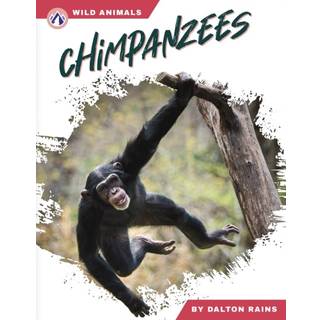 Chimpanzees