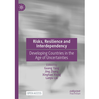 Risks, Resilience and Interdependency
