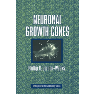 Neuronal Growth Cones